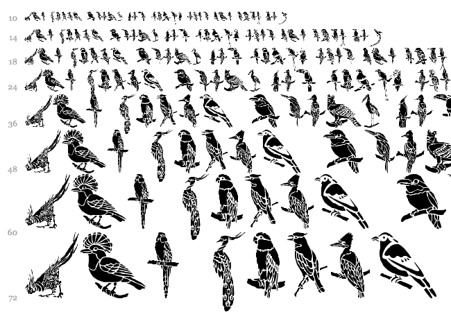 HFF Bird Stencil font waterfall